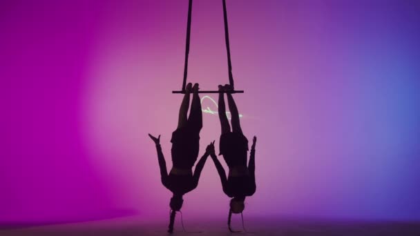 Modern Choreography Acrobatics Creative Advertisement Concept Female Gymnastic Duet Isolated — Stock Video