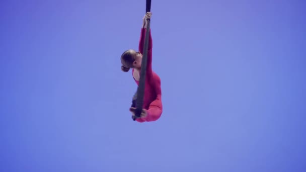 Moderne Choreografie Acrobatiek Creatieve Reclame Concept Vrouwelijke Turnster Geïsoleerd Blauwe — Stockvideo