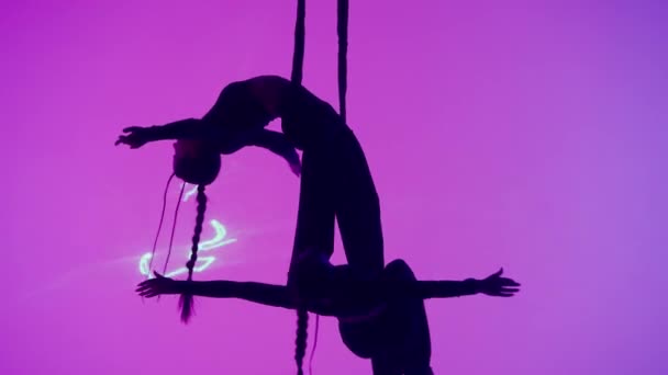 現代の振付とアクロバットクリエイティブ広告コンセプト レーザーピンクのネオンスタジオの背景に隔離された女性の体操デュエット ストラップで罠にかかった少女空中ダンサー ショットを閉じる — ストック動画