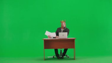 Atölye yeşil arka planda at başlı takım elbiseli bir adam. İşadamı masasında oturmuş belgelere bakıyor ve dizüstü bilgisayarda çalışıyor. Ağır ofis işi konsepti