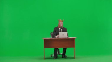 Atölye yeşil arka planda at başlı takım elbiseli bir adam. İşadamı dizüstü bilgisayarında yazı yazıyor ve çok kızgın. Ağır ofis işi konsepti