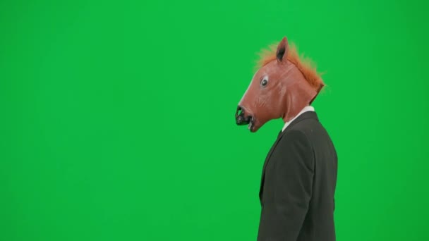 グリーンスタジオの背景に馬のヘッドマスクとビジネスススーツの男 ビジネスマンが徒歩で歩いている ハードオフィスワークサイドビューのコンセプト — ストック動画
