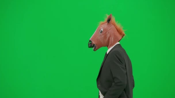 Pria Bertopeng Kepala Kuda Dengan Latar Belakang Studio Hijau Pengusaha — Stok Video