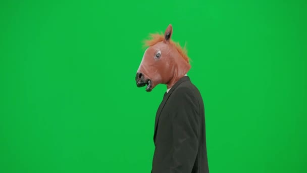 身穿西装 头戴马头面具 背景是绿色工作室 商人走起路来 指指点点方向 竖起大拇指 硬办公室工作的概念 — 图库视频影像