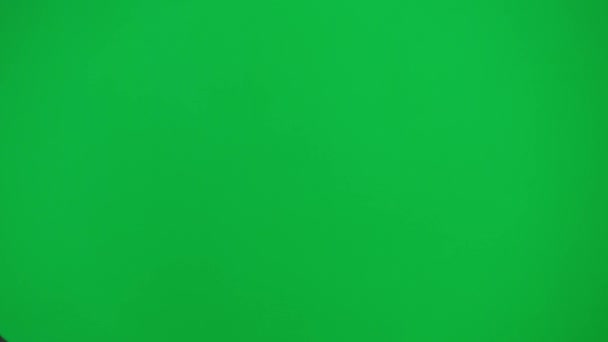 Egy Férfi Öltönyben Lófejmaszkkal Zöld Stúdió Háttérben Egy Üzletember Képregényesen — Stock videók