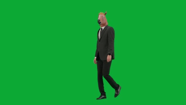 身穿西装 头戴马头面具 背景是绿色工作室 商人走起路来 指指点点方向 竖起大拇指 勤勤恳恳工作的概念 — 图库视频影像