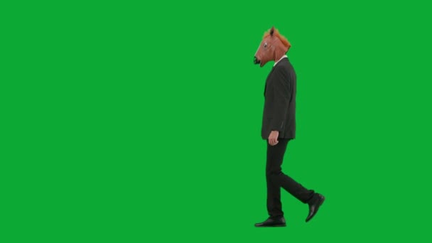 Man Business Suit Horse Head Mask Green Studio Background Businessman — Stock Video