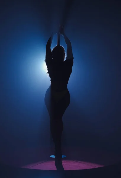 柔韧可塑的女人在杆子上跳舞的黑暗轮廓 在明亮的聚光灯下 黑漆漆的演播室里 一个长发舞蹈家站在塔尖上 — 图库照片