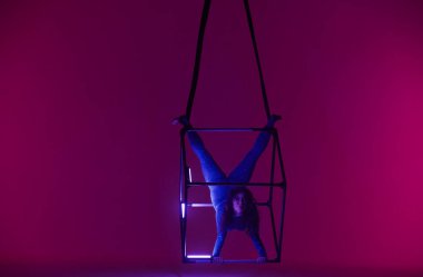 Stüdyonun kırmızı arka planında mavi taytlı hava jimnastikçisi. Kadın akrobat havada bir küp üzerinde, baş aşağı asılı, akrobatik koreografinin elementlerini sergiliyor.