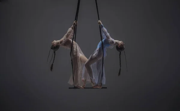 Modern choreography and acrobatics creative advertisement concept. Female gymnastic duo isolated on monochrome studio background. Girls aerial dancers spin on acrobatic trapeze with straps.