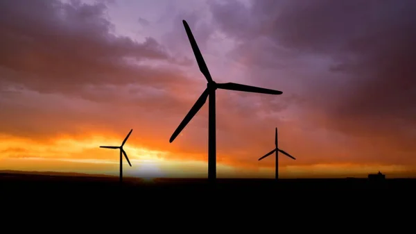 替代能源和生态技术创意广告概念 风车的轮廓在日落的天空中映衬着大地 落日背景下许多带叶片的风力涡轮机的近照 — 图库照片