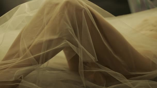 Une Femme Couchée Recouverte Tissu Transparent Maille Blanche Près Miroir — Video