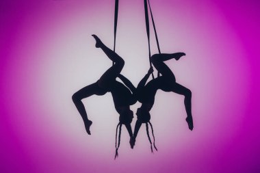 Modern koreografi ve akrobatik yaratıcı konsept. İki kadın akrobatın silueti pembe neon arka planda, merkezinde spot ışığı var. Dişi akrobatlar ipler üzerinde akrobatik elementler sergiler.