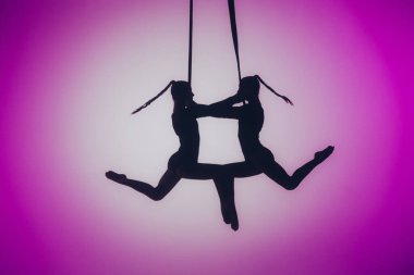 Modern koreografi ve akrobatik yaratıcı konsept. İki kadın akrobatın silueti pembe neon arka planda, merkezinde spot ışığı var. Dişi akrobatlar ipler üzerinde akrobatik elementler sergiler.