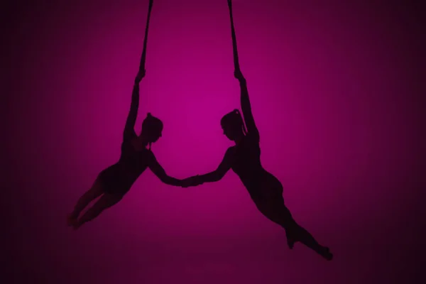 Modern choreography and acrobatics creative advertisement concept. Silhouette of two female acrobats isolated on pink neon background. Girls aerial dancers performing flying element on ropes.