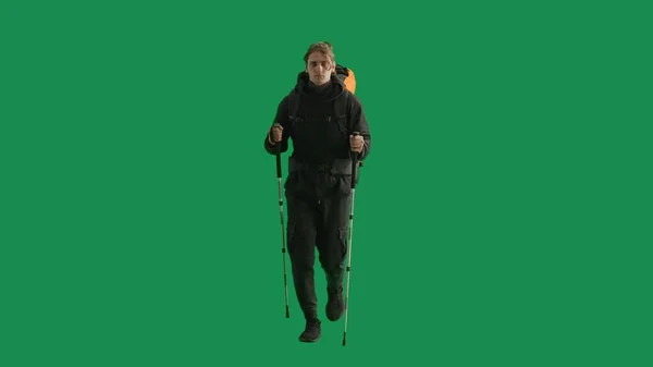 Tourist traveling using trekking poles on a hike. Full length man with backpack on his back walking on green screen. The concept of hiking