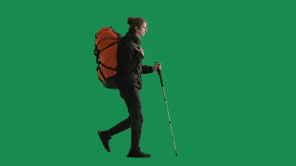 Tourist traveling using trekking poles on a hike. Full length man with backpack on his back walking on green screen. The concept of hiking. Side view