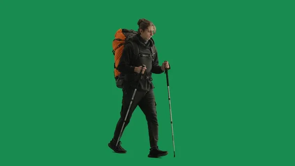 Tourist traveling using trekking poles on a hike. Full length man with backpack on his back walking on green screen. The concept of hiking