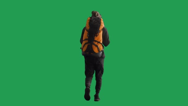 Widok Tyłu Długiego Męskiego Turysty Dużym Plecakiem Plecach Człowiek Chodzący — Wideo stockowe