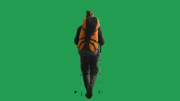 Widok Tyłu Turysty Kijami Trekkingowymi Pełnej Długości Mężczyzna Plecakiem Plecach — Wideo stockowe