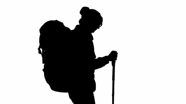 Czarna Sylwetka Wędrowca Kijami Trekkingowymi Pełnej Długości Mężczyzna Plecakiem Plecach — Wideo stockowe