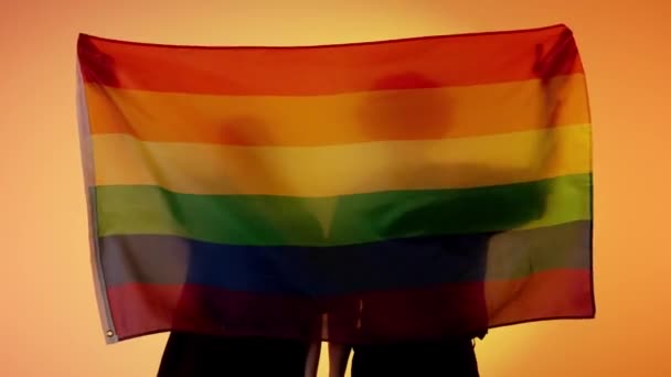 Amore Diversità Concetto Pubblicità Silhouette Persone Con Grande Bandiera Sfondo — Video Stock