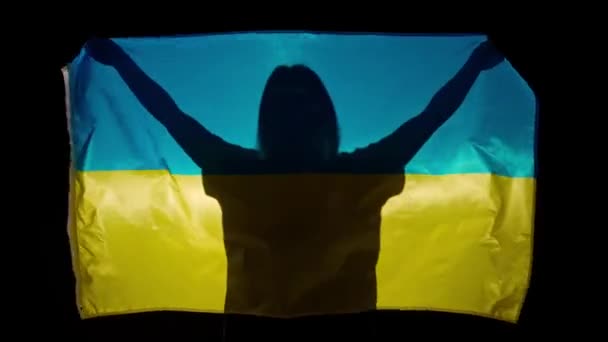 Nationell Flaggor Patriotisk Reklam Koncept Person Siluett Med Stor Flagga — Stockvideo