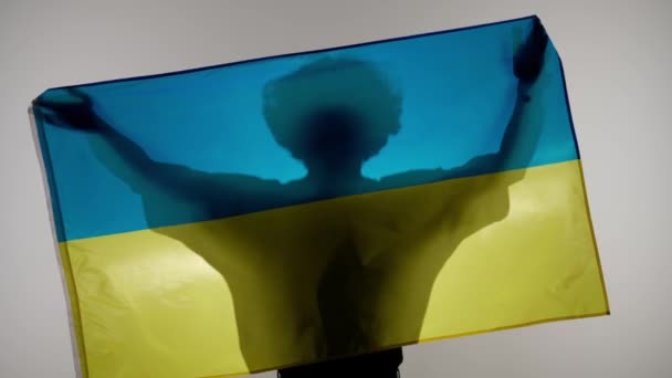 Nationaal Vlaggen Patriottische Reclame Concept Persoon Silhouet Met Grote Vlag — Stockvideo
