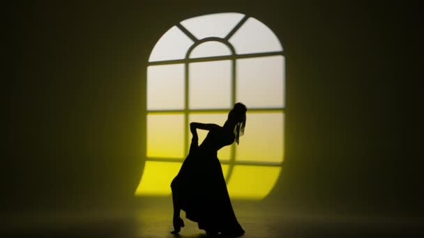 Moderne Tanzchoreographie Weibliche Silhouette Einer Tänzerin Die Gegen Den Fensterschatten — Stockvideo