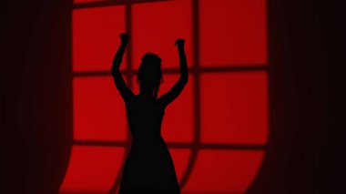 Modern dans koreografisi. Dansçının silueti pencere gölgesinde dans ediyor. Flamenko tarzı elbiseli kadın stüdyoda elleri ve vücudu ile zarif İspanyol dans hareketleri sergiliyor.