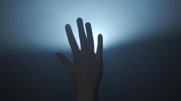 Silueta Konceptu Osvětlení Žena Model Proti Jasnému Podsvícení Černém Zakouřeném — Stock video