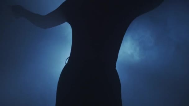 Silhouette Concept Éclairage Modèle Féminin Contre Rétro Éclairage Lumineux Sur — Video