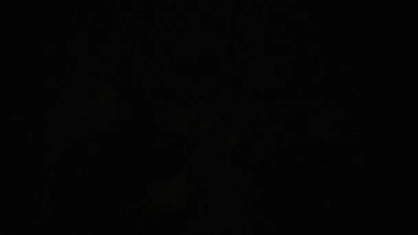 Silhouet Lichtconcept Mannelijk Model Tegen Fel Stromend Licht Zwarte Achtergrond — Stockvideo