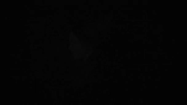 Silhouette Lichtkonzept Weibliches Modell Vor Hellem Blitzlicht Auf Schwarzem Hintergrund — Stockvideo