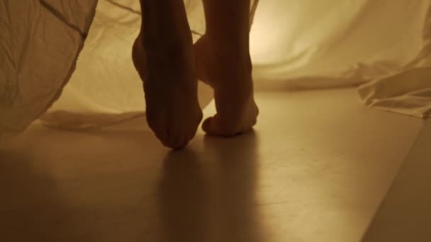 Концепція Сучасної Експериментальної Хореографії Silhouette Жінка Танцівниця Виступає Студії Молода — стокове відео