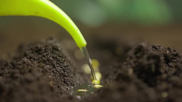 Концепція Екологічно Дружнього Землеробства Садівник Поливає Насіння Землі Фермерський Полив — стокове відео
