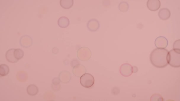 Mýdlové Bubliny Růžovém Pozadí — Stock video