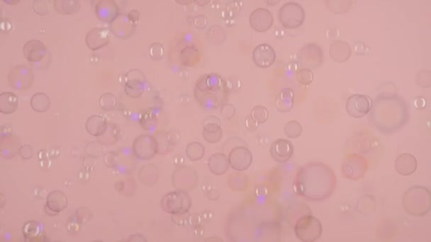 Soap Bubbles Pink Background — Stock Video