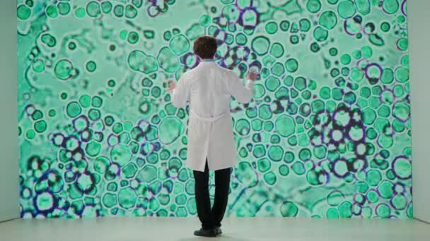 Laboratuar Önlüklü Bir Bilim Adamı Büyütülmüş Hücre Yapılarını Gösteren Büyük — Stok video