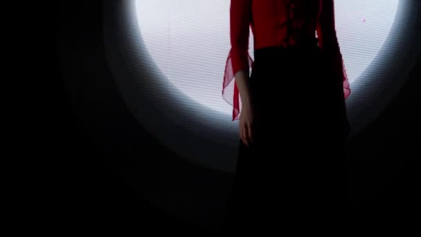 Concept Technologie Visuelle Numérique Silhouette Féminine Contre Mur Numérique Femme — Video