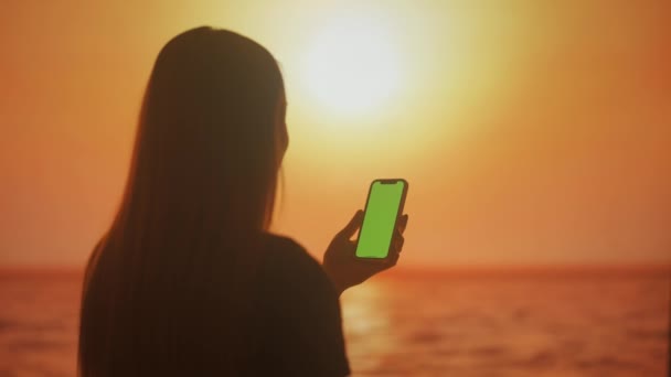 Uma Silhueta Uma Jovem Mulher Deslizando Uma Tela Smartphone Informações — Vídeo de Stock