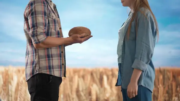 農業と現代技術のコンセプト 農民は小麦畑と青空に対して屋外にいる 農場に立っている女性農家にパンの新鮮なパンを与える男のアグロニスト — ストック写真