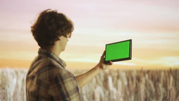 Landwirtschaft Und Modernes Technologiekonzept Bauer Gegen Großes Weizenfeld Bei Sonnenuntergang — Stockvideo