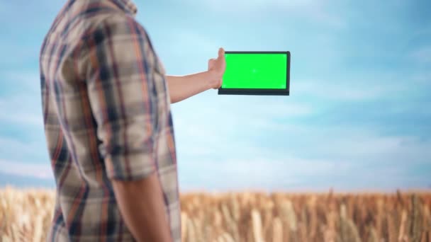 农业和现代技术概念 日落时农民们在大麦地上耕作 农艺师站在农田里 拿着装有彩色键绿色屏风的石碑 模拟工作空间 — 图库视频影像