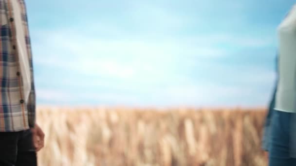 Zemědělství Moderní Technologie Farmáři Venku Proti Pšeničnému Poli Modré Obloze — Stock video