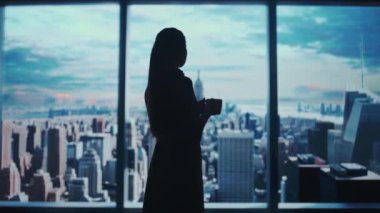 Şirket reklam konsepti. Ofiste başarılı bir iş kadını. Kadın yatırım fonu yöneticisi pencerenin önündeki fincandan kahve içiyor. Şehir manzaralı..