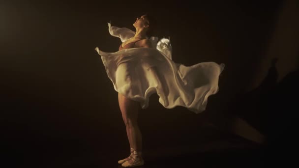 그림자의 섬세한 작용을 쉬폰에 댄서가 포이와 움직임으로 미묘한 조명은 댄서의 — 비디오