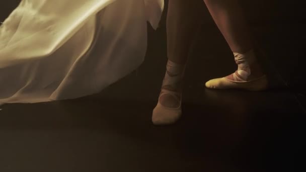 Essence Danse Travers Jeu Délicat Lumière Ombre Comme Danseur Déplace — Video