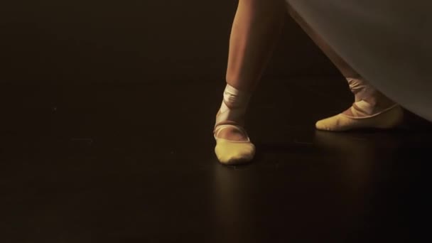 Essence Danse Travers Jeu Délicat Lumière Ombre Comme Danseur Déplace — Video