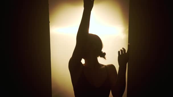 光と影の繊細な相互作用を通してダンスの本質は ダンサーがポイズで動くように 微妙な照明はダンサーの動きの流動性そして優雅さを強調します — ストック動画